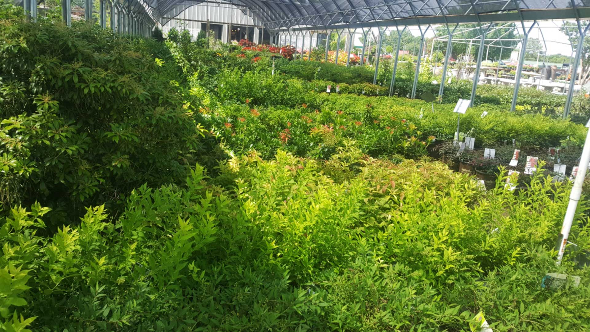One of the greenhouses at the garden and Landscape Center.