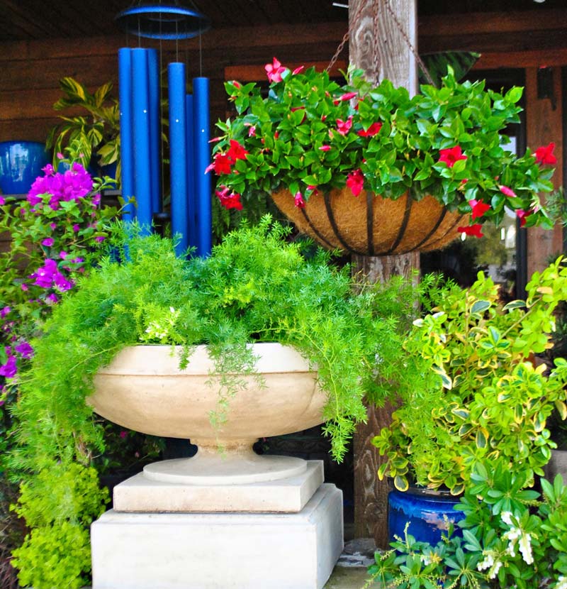 Beautiful ferns in a large raised stone planter at the landscape and garden center.